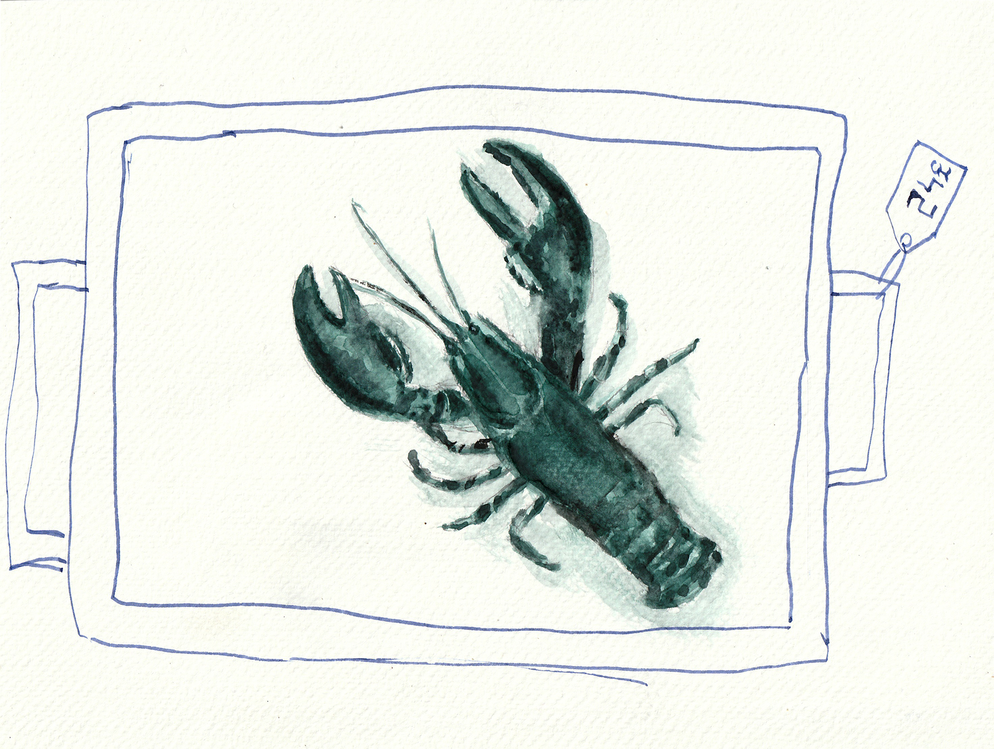 Lobster